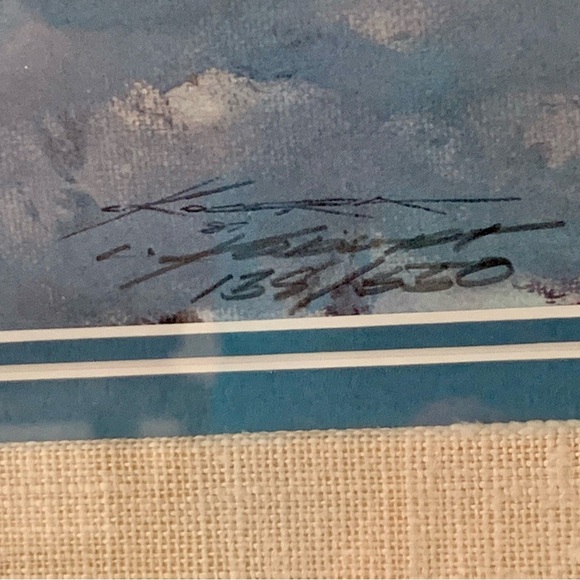 “Springtime Flying In The Rockies” Singled & Framed Print 17/20 Inch - Picture 6 of 12